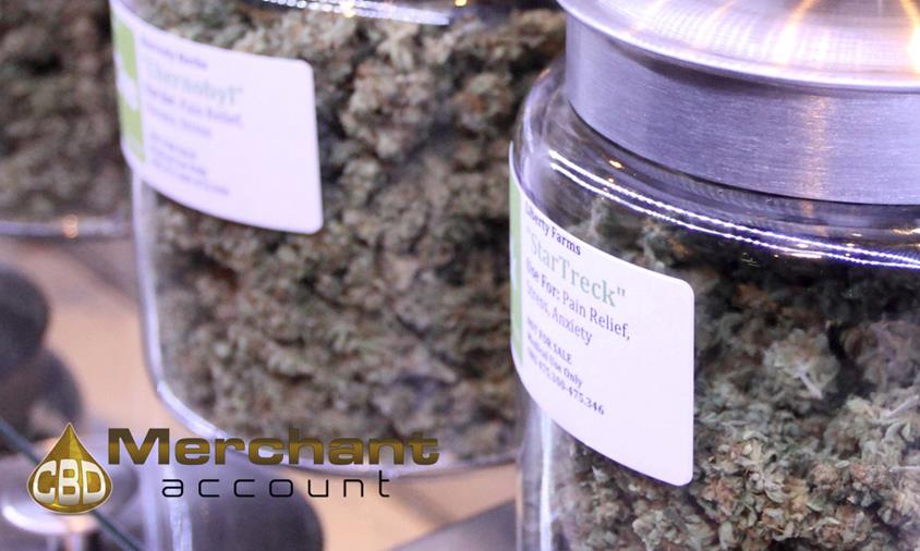 Learn about technological integration options for hemp payments