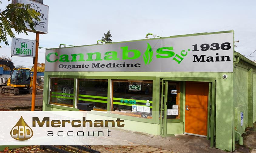 Discover new opportunities and trends in the CBD industry through the blog