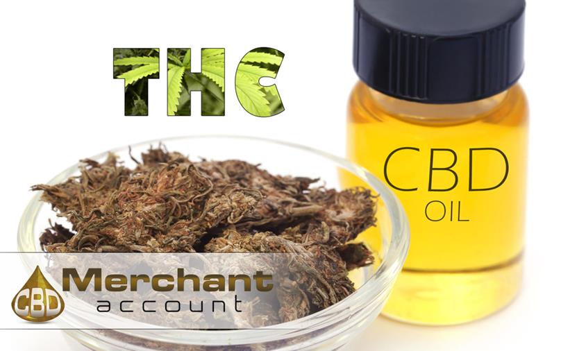 Understand how cannabis payment processing enhances business operations