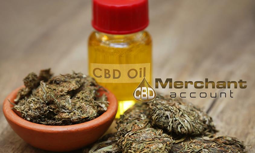 Discover competitive rates for cannabis payment processing