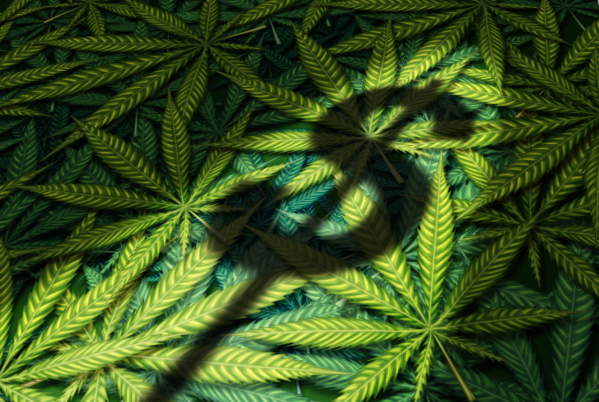 Understand the importance of staying informed with the CBD Merchant Account blog