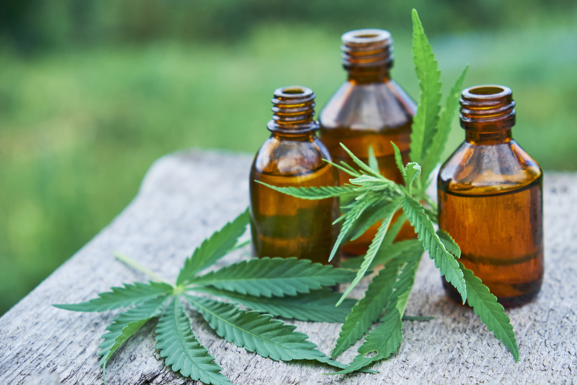 Explore articles on improving your business operations with CBD Merchant Account