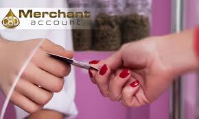 Discover financial management tips for CBD merchants from the blog