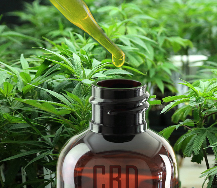 Discover top-notch CBD payment solutions at CBD Merchant Account