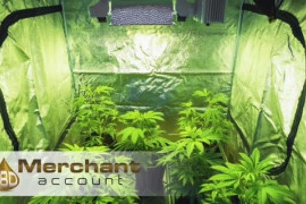 hemp-growing-business-merchant-account-300x180